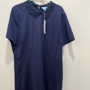 NWT navy blue dress with lace Peter Pan collar and gold zipper